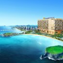 골든튤립제주성산호텔 이미지