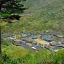 순천-65호 이미지