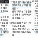라이즈 업 Rise UP