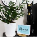 세무회계지혜