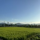 더진현풀빌라 | [경주 풀빌라]대형 수영장이 있는 더진현풀빌라 내돈내산 후기!