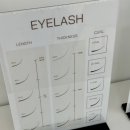 미대언니 이미지