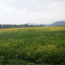 학산농장 이미지