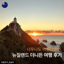 새하늘 NEW SKY | 퀸스타운보다 더 좋았던 뉴질랜드 더니든 남섬여행 후기 및 당일치기 일정 추천 (+뉴질랜드 렌트카 운전...