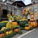 (주)힐링브릿지 | 베트남 다낭 바나힐 골든브릿지 테마파크 코스 정리