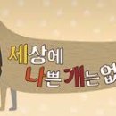 카츠츠