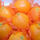 소성농장 이미지