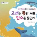 가나안디앤피