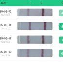 속초우리요양병원 | 나의 임신준비와 임신초기 일상 기록..🤍