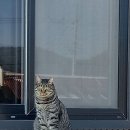 김효정공인중개사사무소 이미지