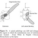 spine biomechanics 척추의 생체역학 !! ai번역 덕분에 쉽게 읽을 수 있다!! 이미지