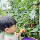 큰사랑어린이집 이미지