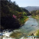 제천모드니애캠핑장 이미지