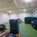 대미초교 병설유치원 이미지