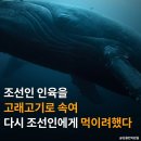 과거 일본은 조선인 인육고기를 고래고기로 속여 강제 징용된 조선인들에게-﻿김용만 이미지