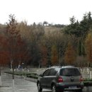 남산공원 일주로 이미지