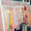 개맘대로 이미지