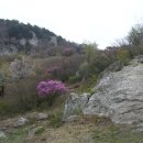 마당바위 이미지