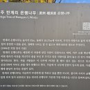 원주 문막읍 반계리1495-1번지 은행나무 이미지