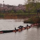 황구지천 이미지