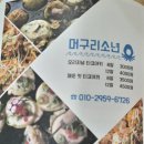 머구리소년 티스토리
