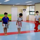 MTA 태권도 이미지