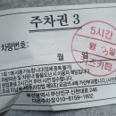 앨리스파파 이미지