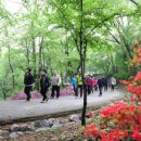 상봉1동 주민자치위원회 이미지