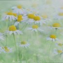 가람실버케어 이미지