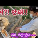 곤의농장 이미지