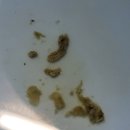 속초동물의료센터 이미지