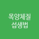 제일한방플러스 이미지