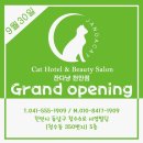 잔다냥 천안점 이미지