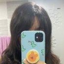 셀프염색카페 | 미쟝센 헬로크림 내돈내산 애쉬그레이 셀프염색 후기