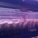 수정동농장 이미지