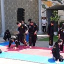 진영 실전합기도 이미지