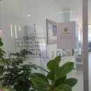 삼봉소아청소년과의원 이미지