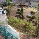 여산척화비 이미지