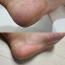 아름올리 이미지