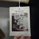 개나리약국 | 강남운동 [클래스바디 체형교정센터 강남역삼점] 어깨통증 강남역운동으로 도움받은 후기!