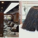 새봄커피숍