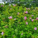 국보팬션 이미지