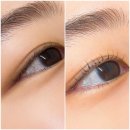 반하프 | 대구 속눈썹펌 속눈썹연장 잘하는 안지랑역 “반하프”
