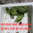 은풍농원