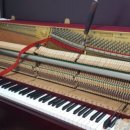 가야초등학교 이미지