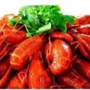 백옥양꼬치 - 남양주시 진건오남로 609 | 백옥양꼬치