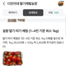 다인농장 | 25.02.23방문♥️일산 딸기체험농장 다인이네🍓 방문후기 전해요~