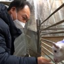 후계자 농장 이미지