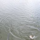 도채낚시터 이미지