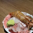 냐옹지마